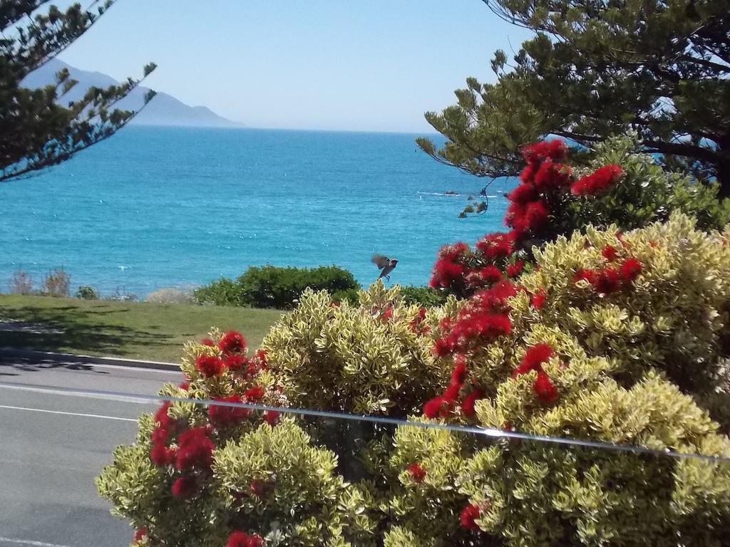 The Hamptons Bed & Breakfast Kaikoura Phòng bức ảnh